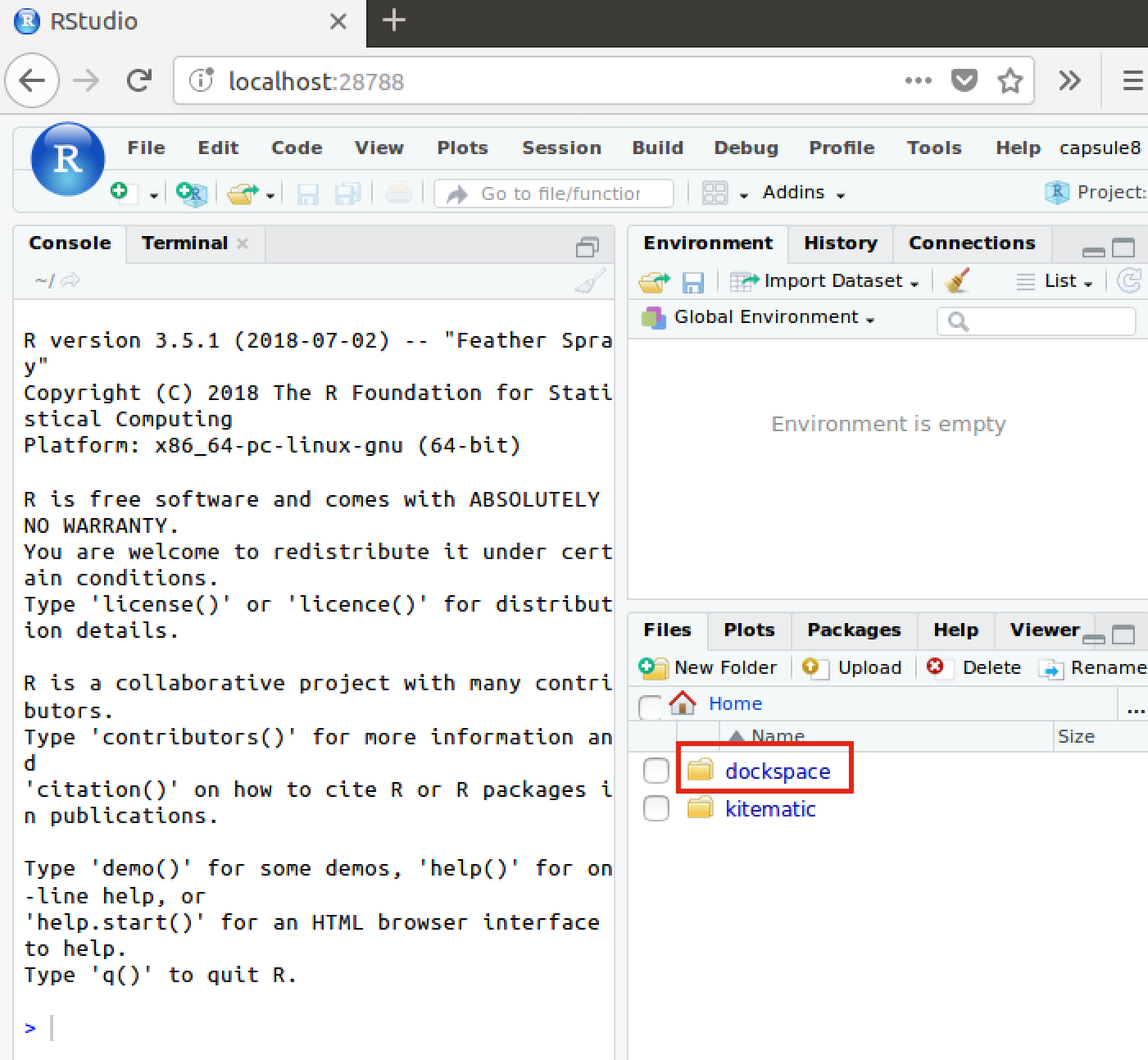 RStudio in Docker – now share your R code effortlessly! – Infinite Couch